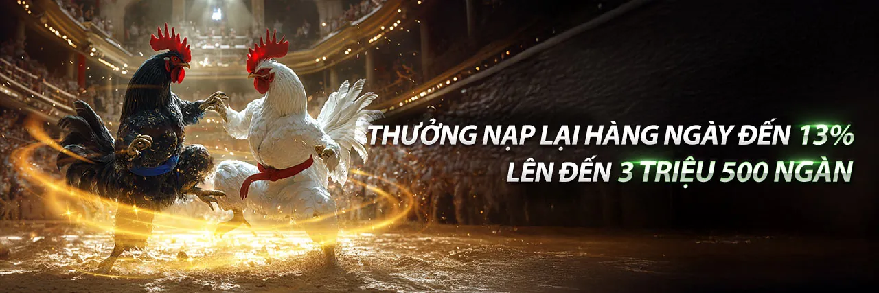 Sân đấu đá gà trực tuyến sôi động tại nohu666 casino