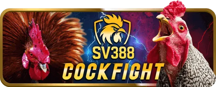 Hình ảnh về các giao dịch an toàn tại nohu666 casino